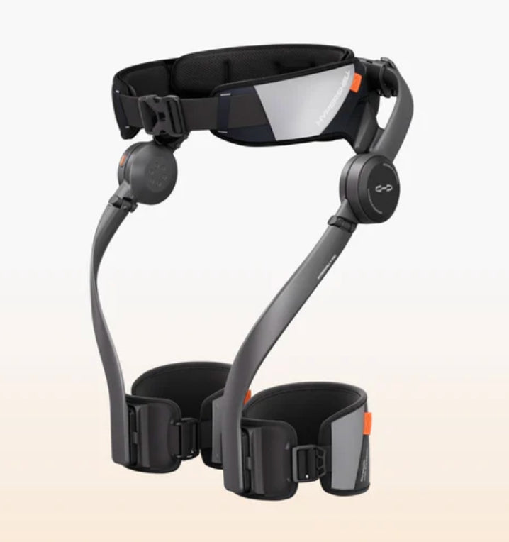 Hike+Walker Electric Assist